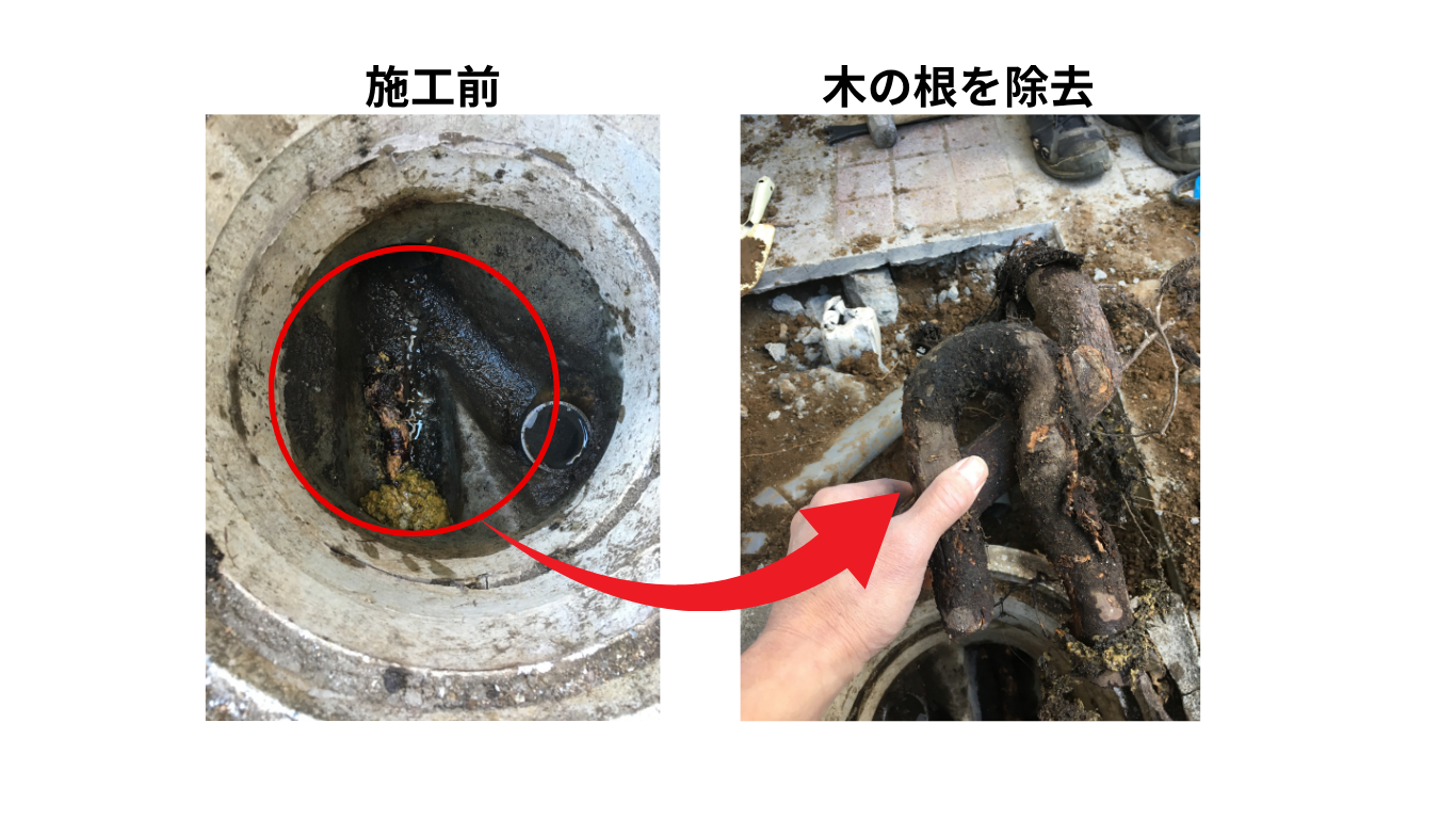 配管に侵入した木の根の除去